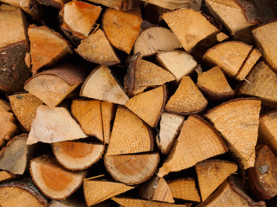 Doit-on investir dans le bois précieux ?